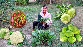 सब्जियों की नर्सरी आज घर पर ही उठा लाये । कौन कौन से नए पौधे लाये हम