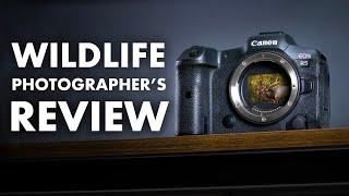 Canon R5 for Wildlife Photography - REVIEW