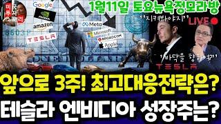 미국주식/앞으로 3주! 트럼프 취임과 대응전략(편집본)/테슬라 엔비디아 구글 애플 아마존 메타 마이크로소프트 팔란티어 아이온큐 SMCI LLY NOVO등 $tsla #tesla