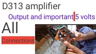 D313  amplifier output and important 5volts all connection