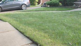 All Work [Front yard maintenance]