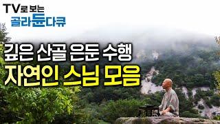 첩첩산중 홀로 토굴에서 수행하는 스님들의 이야기│수행자의 삶│#한국기행│#골라듄다큐