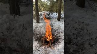 #дом #лес #forest #поход #костер #охота #медитация #чай #зима #мещера #travel #traveling #bonfire