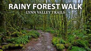 Peaceful Rainy Walk in a Lush Forest, North Vancouver BC Canada