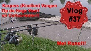 Vlog #37 Karpers Knollen Vangen op Hoge Vaart en Cultuurwater met Live Runs!!