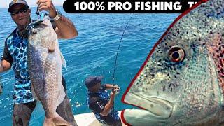 Saltwater Safari 12: Unlock Pro FISHING Secrets: Strategies to Catch More Fish Every Time!