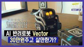 AI 반려로봇 벡터(Vector), 30만원주고 살만한가? / 미래생활백서 Smart Life