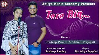 Tere Bin | Wazir | Cover | Vishali Prajapati | Pradeep Pandey  | Aditya Music Academy | Sonu Nigam