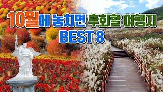 10월에 놓치면 후회할 여행지 BEST8 /국내여행 /10월 여행지 추천 /10월에 가볼만한곳 /간월재 억새평원 /명성산 억새 /고석정꽃밭 /울산여행 /포천여행 /철원여행