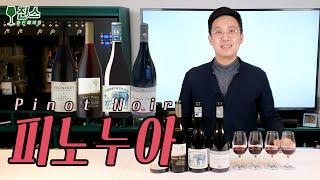 피노누아 (Pinot Noir) 같은품종 다른느낌 4종 국가별 비교 테이스팅 ㅣ품종별 취향찾기