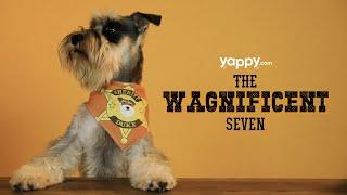 Wagnificent 7 - November's YappyBox | Yappy.com