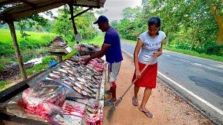 Unseen! Fishmonger's Secret Of Hidden Village Freshwater Fish Market