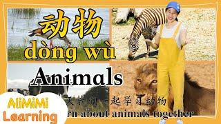 Learn about Animals in Chinese | Learn 30 Animals in Chinese | 学习动物 | 30种动物