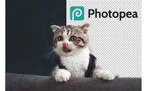 PHOTOPEA: EASY Free Background Removal