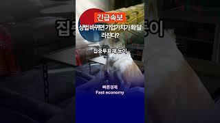 [속보] 상법 바뀌면 기업가치가 확 달라진다? #긴급속보 #경제 #상법개정 #기업가치