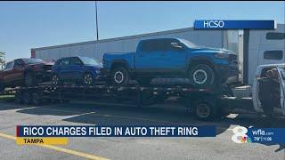 Attorney questions RICO charges in Hillsborough multimillion dollar car theft ring case