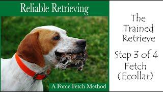 The Trained Retrieve, Reliable Retrieving DVD, Force Fetch Method Step 3of4 Fetch (ecollar)