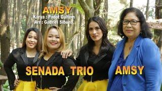 SENADA TRIO - AMSY