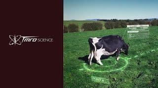 Artificial Intelligence Controlled Cows - Discovery 01.09