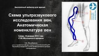 Вебинар Схема ультразвукового исследования вен. Анатомическая номенклатура вен нижних конечностей