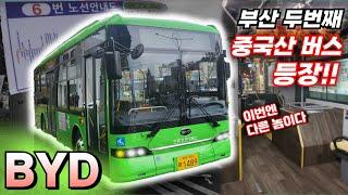 결국 또 도입된 중국산 전기버스.. 근데 이번에는 다른 녀석이라고?? 부산 최초 BYD eBus9 타봄!