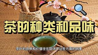 茶的种类和品味