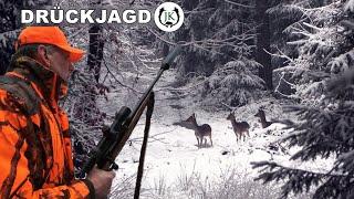 Schnee Drückjagd mit dem DJV Präsidenten - Jagdkrone