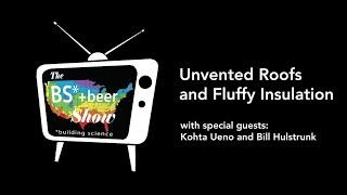 The BS* + Beer Show: Unvented Roofs and Fluffy Insulation