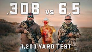 Did 6.5 Make .308 OBSOLETE? || 1,200 YARD TEST