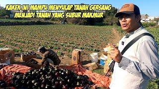 DITANGAN PETANI INILAH TANAH GERSANG DI SULAP MENJADI TANAH YG SUBUR @AlmanMulyana1983