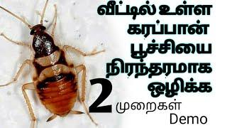 வீட்டில் உள்ள கரப்பான் பூச்சிகளை நிரந்தரமாக ஒழிக்க 2 வழிகள்