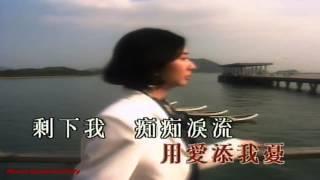 __汪明荃___用愛將心偷___hd720.MP4