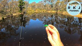 Redfin Fishing In A Small Dam