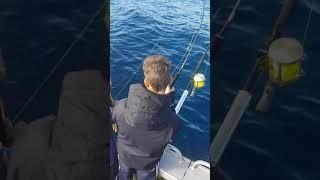 Fishing Portland for Bluefin Tuna