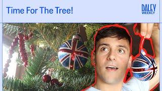 Time For The Tree! I Tom Daley