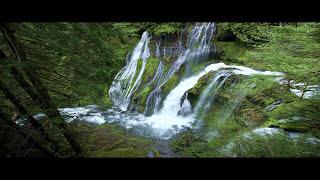 Panther Creek Falls in 4K | Hiking in Washington | Gifford Pinchot National Forest | Hood River