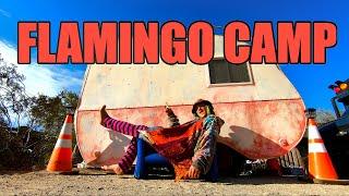 SLAB CITY 2023 - Flamingo Camp