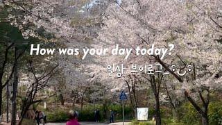 [29.일상 V-log] 사회인야구. 제과기능사 실기 학원. 상추 모종심기. 신혼집 구하기. 일상 모음. 일상브이로그