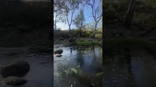 THE MOORABOOL RIVER!!   #fishing #australia #victoria
