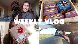 weekly vlog; 2 month breakup update, last minute christmas prep & mini beauty unboxing