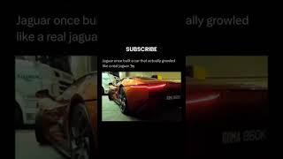 Jaguar took their name very literally. #jaguar #cars #youtubeshorts #technology #supercars #youtube