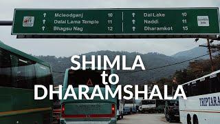 Exploring Dharamshala Solo‍️ | Shimla to Dharamshala in Volvo HRTC 