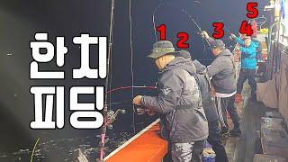 한치낚시 4탄 즐기면 조과는 따라옵니다