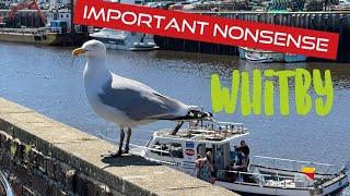 Important Nonsense Visit Whitby