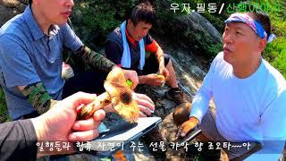 추석 연휴 산행 중 송이도 맛보고.