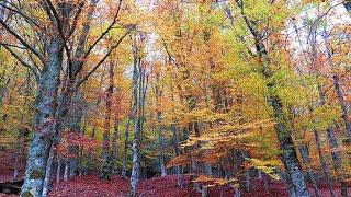 Las mejores rutas de senderismo para realizar este otoño en las afueras de Madrid #mundotv