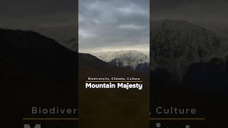 Explore mountain ecosystems: biodiversity in action. ️ #peak #mountain #facts #climate