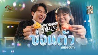 ซ่อนตัว (Hideout) - MERCURY GOLDFISH | เพลงโปรด