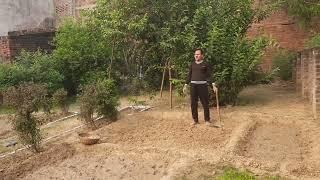 !!How to sow potatoes  !!,आलू कैसे बोयै!!Raghavendra Singh Rajoria ️ ️
