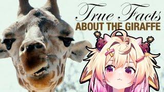 True Facts: The Wacky Giraffe | Rosiebellmoo Reacts To Ze Frank